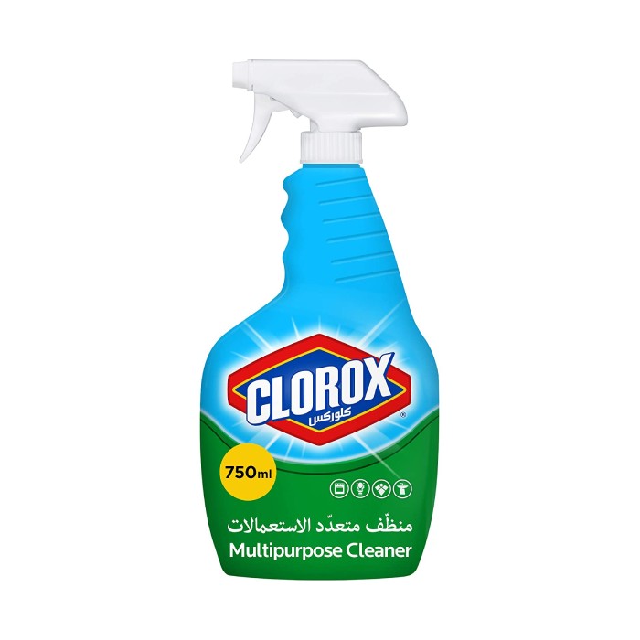Clorox Toilet Cleaner Multi Purpose Spray 750ml